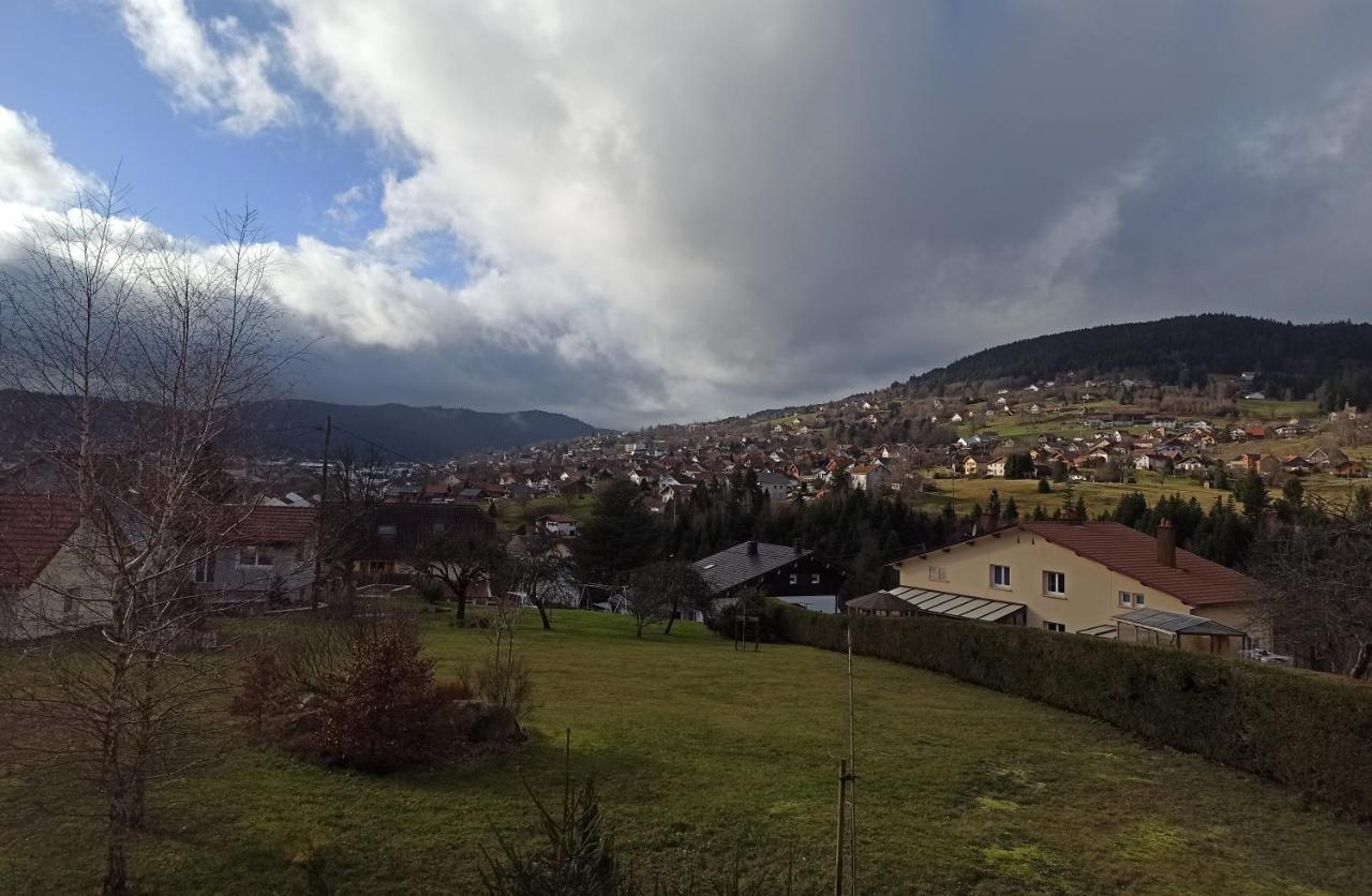Chalet Du Nid D'Amour Gérardmer Екстериор снимка